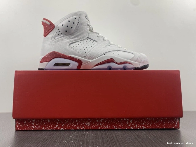 Reps LUCY 6 Jordan CT8529-162 Retro Hare 0713
